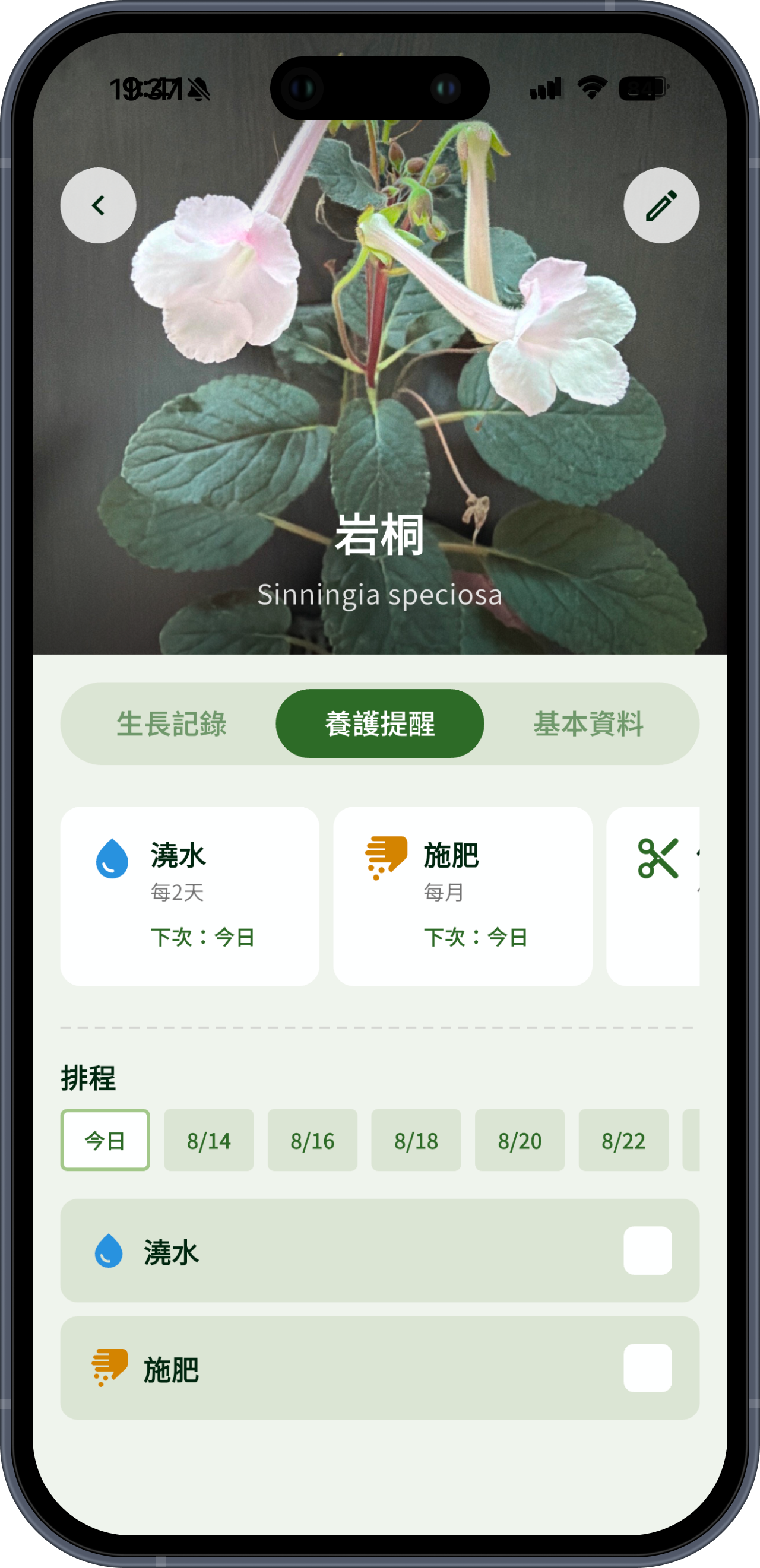 Planto 澆水提醒畫面