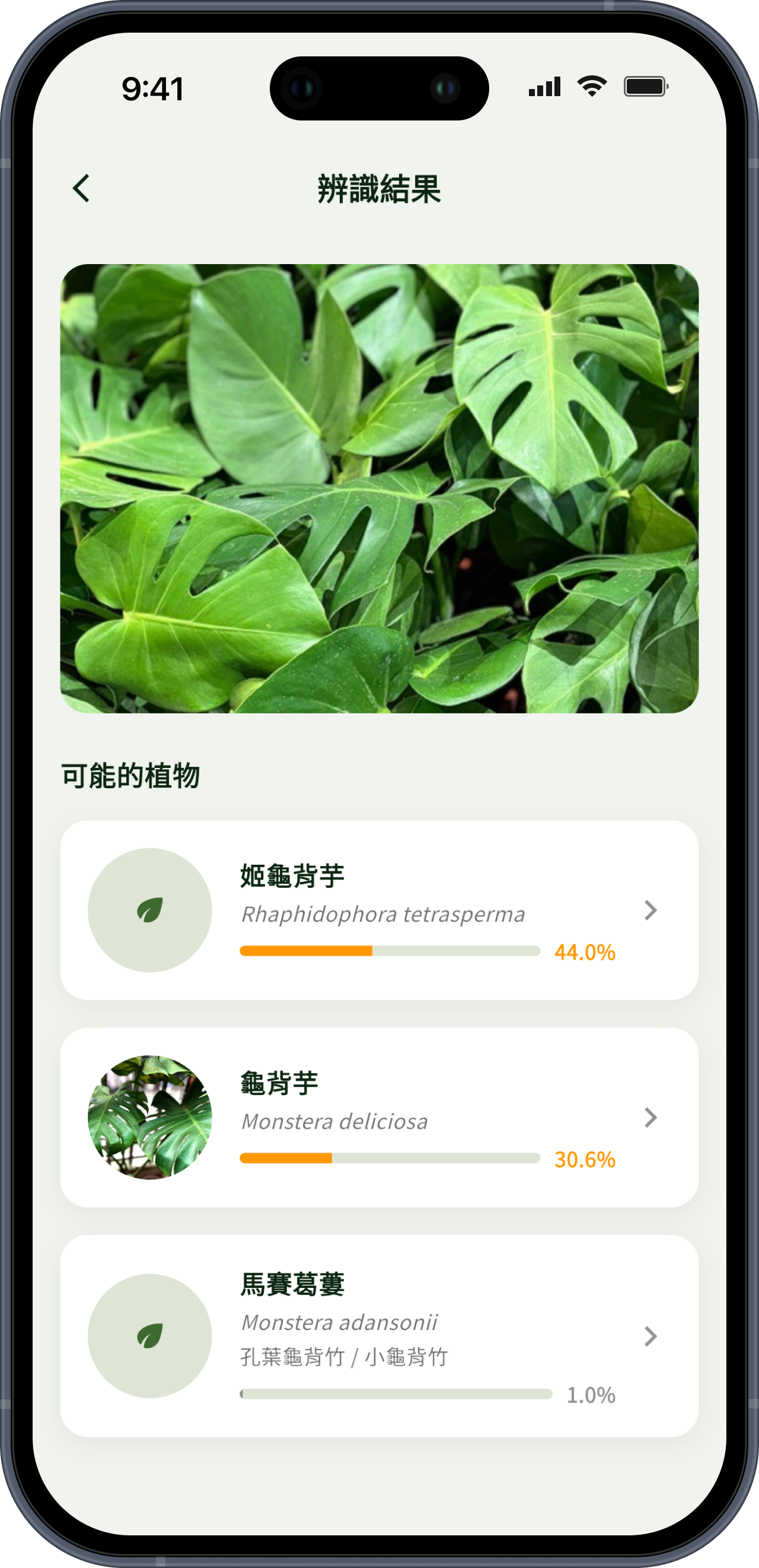 Planto 植物識別畫面